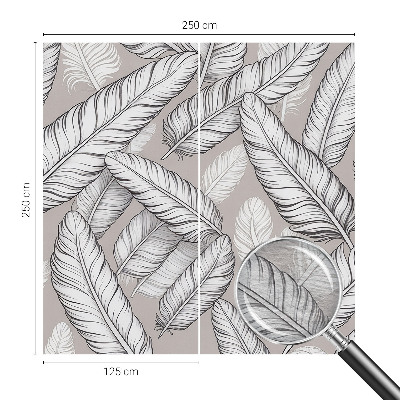 Fototapeta na ścianę Subtelne pióra