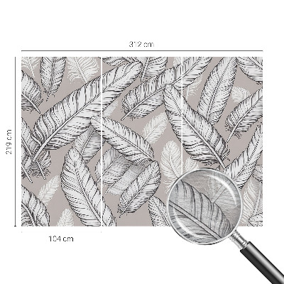 Fototapeta na ścianę Subtelne pióra