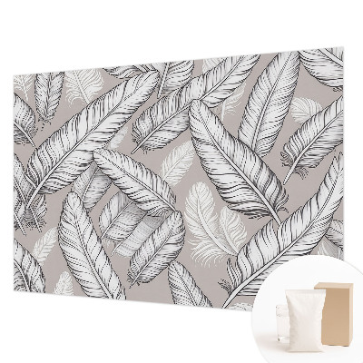 Fototapeta na ścianę Subtelne pióra