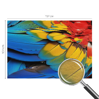 Fototapeta fizelinowa do sypialni Tęczowe pióra