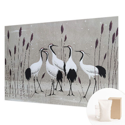 Tapeta fotograficzna Żurawie stado