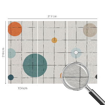 Nowoczesna fototapeta do salonu Kolorowe koła