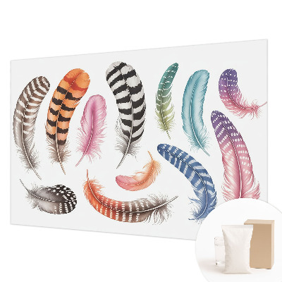 Dekoracyjna fototapeta na ścianę Pastelowe pióra