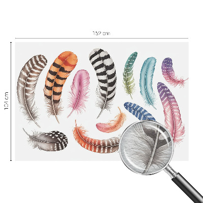 Dekoracyjna fototapeta na ścianę Pastelowe pióra