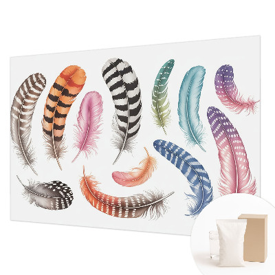 Dekoracyjna fototapeta na ścianę Pastelowe pióra