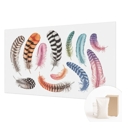 Dekoracyjna fototapeta na ścianę Pastelowe pióra