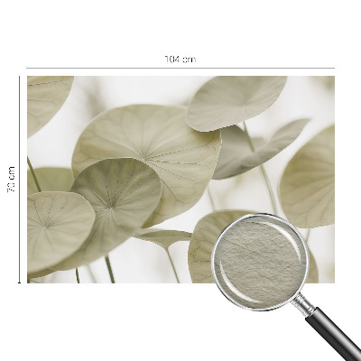 Tapeta fotograficzna o naturalnej, eleganckiej estetyce