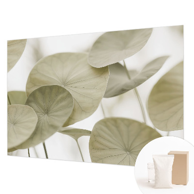 Tapeta fotograficzna Naturalna elegancja