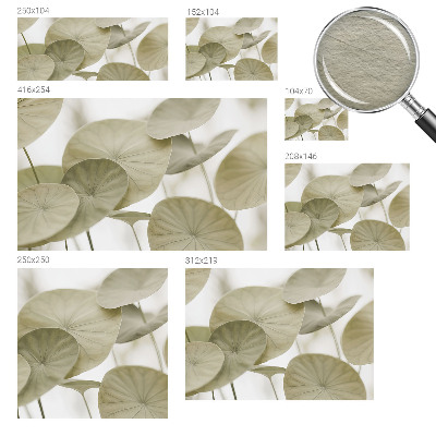 Tapeta fotograficzna Naturalna elegancja