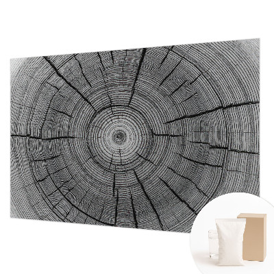 Tapeta fotograficzna Leśna harmonia