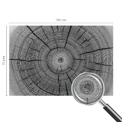 Tapeta fotograficzna z motywem leśnej harmonii