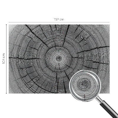 Tapeta fotograficzna z motywem leśnej harmonii