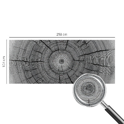 Tapeta fotograficzna Leśna harmonia