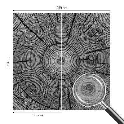 Tapeta fotograficzna Leśna harmonia