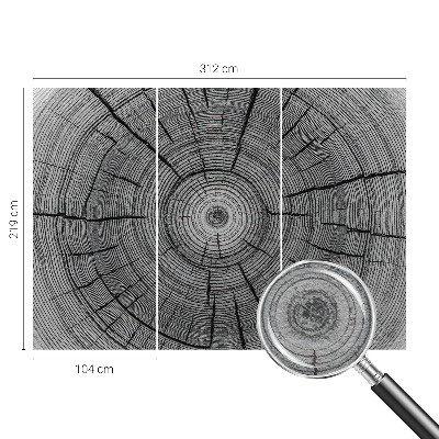 Tapeta fotograficzna z motywem leśnej harmonii
