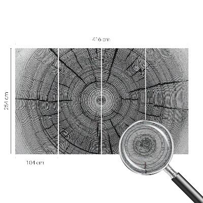 Tapeta fotograficzna Leśna harmonia