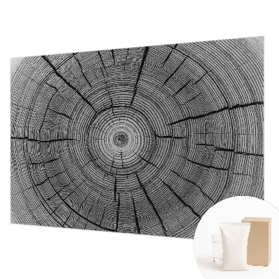 Tapeta fotograficzna Leśna harmonia