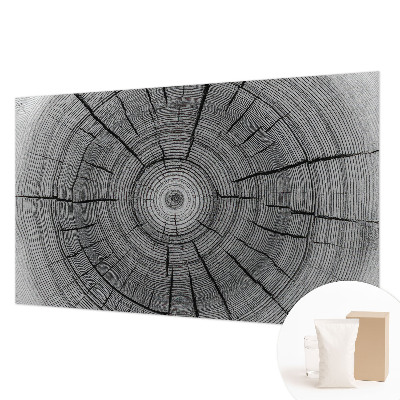 Tapeta fotograficzna Leśna harmonia