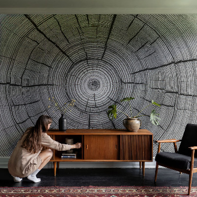 Tapeta fotograficzna Leśna harmonia