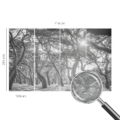 Fototapeta na ścianę Fototapeta na ścianę Klimatyczny las