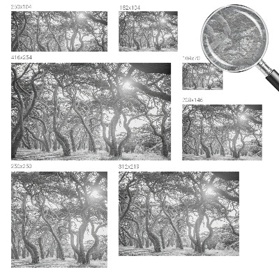 Fototapeta na ścianę Fototapeta na ścianę Klimatyczny las