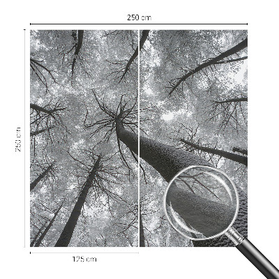 Dekoracyjna fototapeta na ścianę Dekoracyjna fototapeta na ścianę Zimowy pejzaż