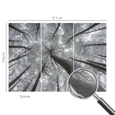 Dekoracyjna fototapeta na ścianę Dekoracyjna fototapeta na ścianę Zimowy pejzaż