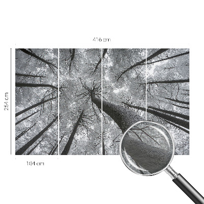 Dekoracyjna fototapeta na ścianę Dekoracyjna fototapeta na ścianę Zimowy pejzaż