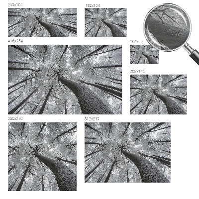 Dekoracyjna fototapeta na ścianę Dekoracyjna fototapeta na ścianę Zimowy pejzaż