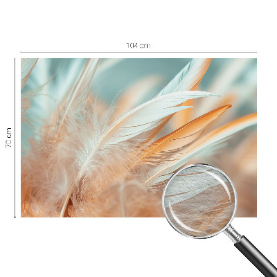 Tapeta fotograficzna z motywem delikatnych piór