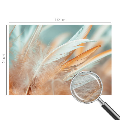 Tapeta fotograficzna z motywem delikatnych piór