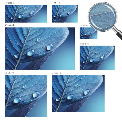 Fototapeta na ścianę Liść błękitu