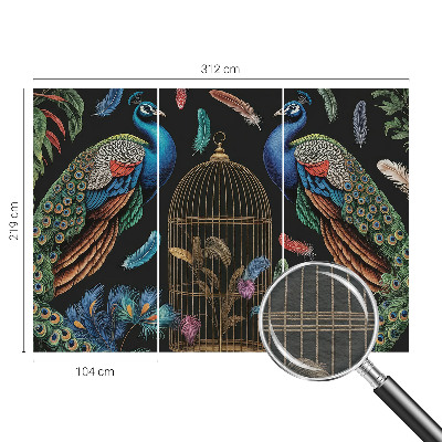 Nowoczesna fototapeta do salonu Egzotyczne pawie