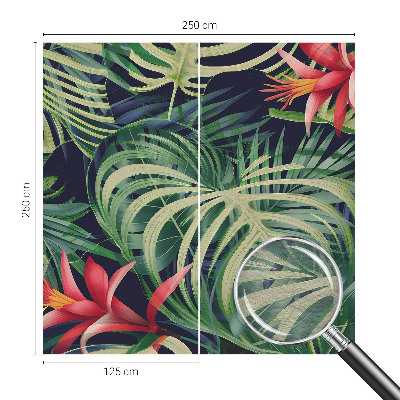 Tapeta fotograficzna Egzotyczne rośliny