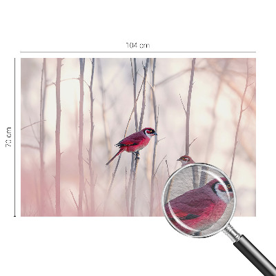 Dekoracyjna fototapeta na ścianę Ptasia para