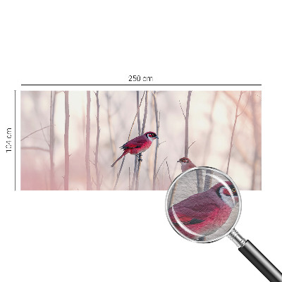 Dekoracyjna fototapeta na ścianę Ptasia para