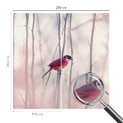 Dekoracyjna fototapeta na ścianę Ptasia para