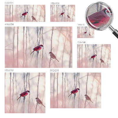 Dekoracyjna fototapeta na ścianę Ptasia para