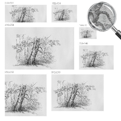 Fototapeta na ścianę Fototapeta na ścianę Drzewo leśne