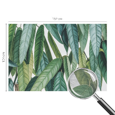 Tapeta fotograficzna Naturalne liście