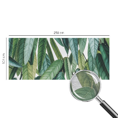 Tapeta fotograficzna Naturalne liście