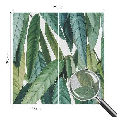 Tapeta fotograficzna z motywem naturalnych liści