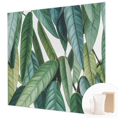 Tapeta fotograficzna Naturalne liście