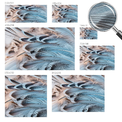 Tapeta fotograficzna Błękitne pióra