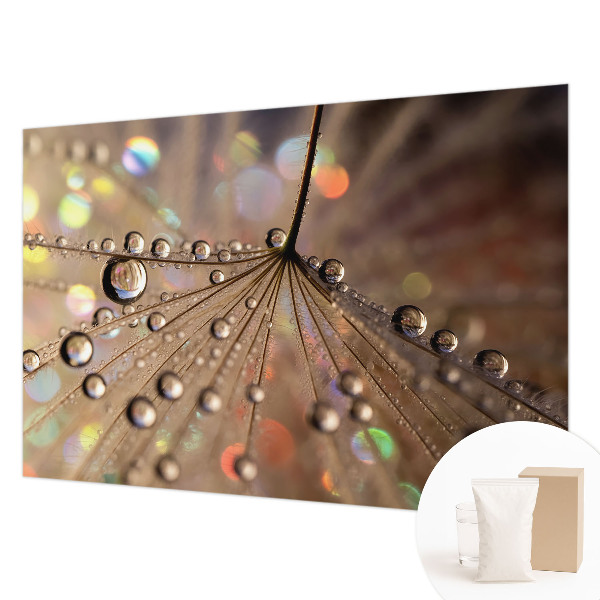 Fototapeta na ścianę Perłowe krople