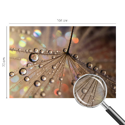 Fototapeta na ścianę Perłowe krople