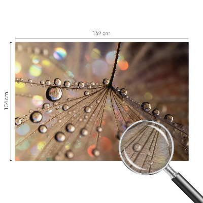 Fototapeta na ścianę Perłowe krople