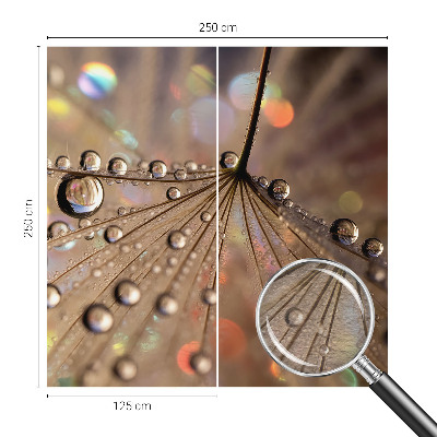 Fototapeta na ścianę Perłowe krople