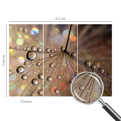 Fototapeta na ścianę Perłowe krople