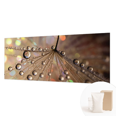 Fototapeta na ścianę Perłowe krople